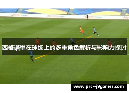 西格诺里在球场上的多重角色解析与影响力探讨