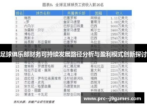 足球俱乐部财务可持续发展路径分析与盈利模式创新探讨